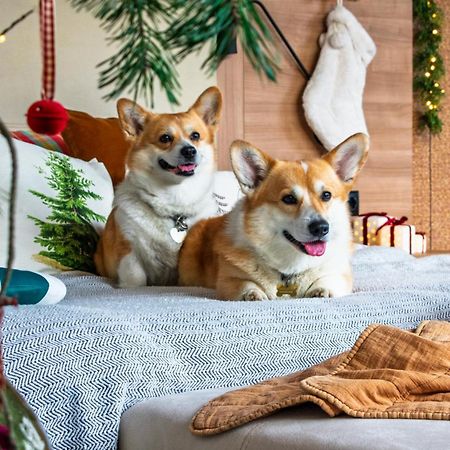 Wn Lab Hotel - Including Breakfast And Parking ソフィア エクステリア 写真
