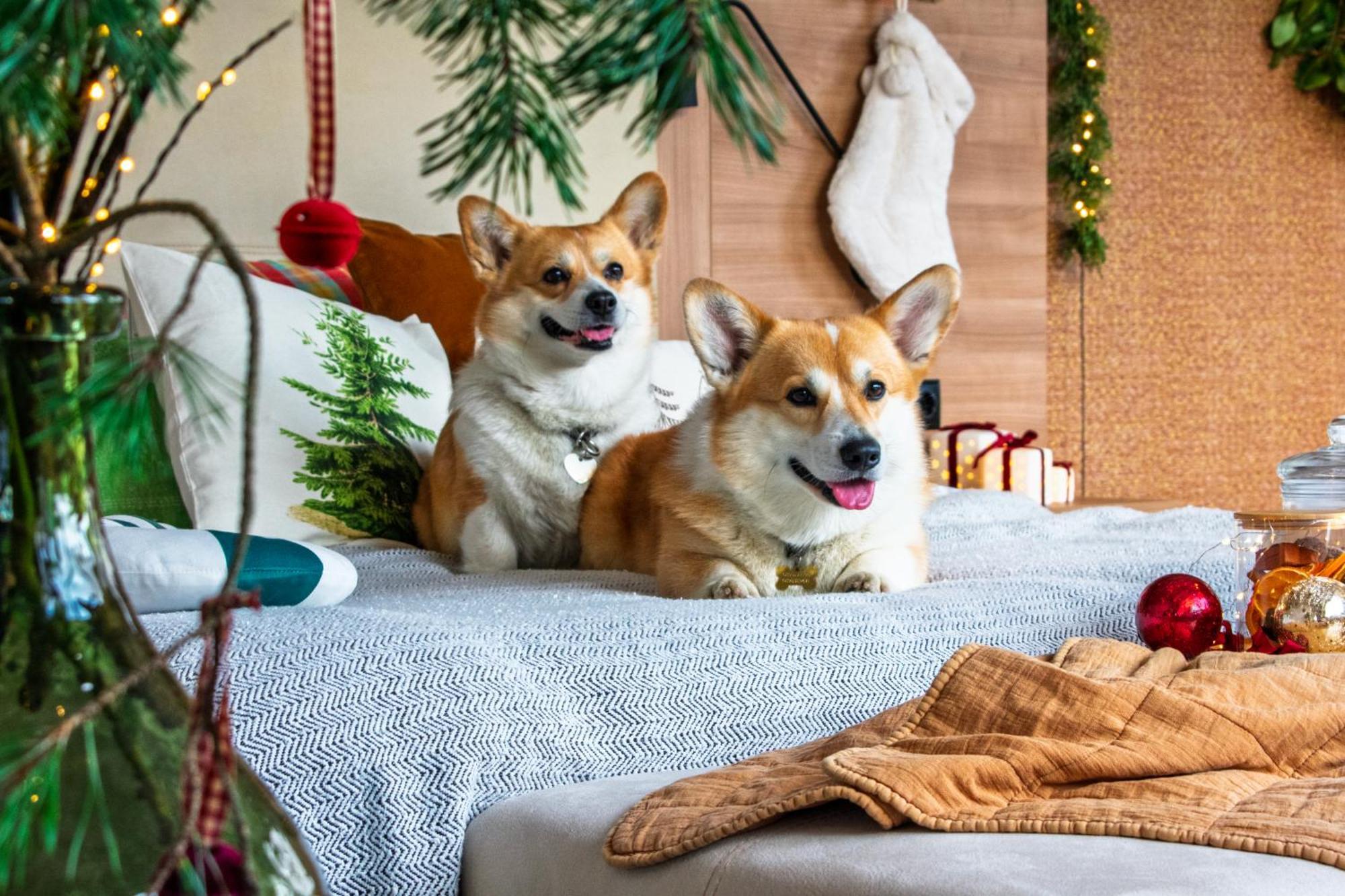 Wn Lab Hotel - Including Breakfast And Parking ソフィア エクステリア 写真